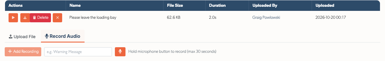 Record Audio tab with the name and microphone controls